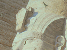 Smiling at the sun (rock martins at Abu Simbel)